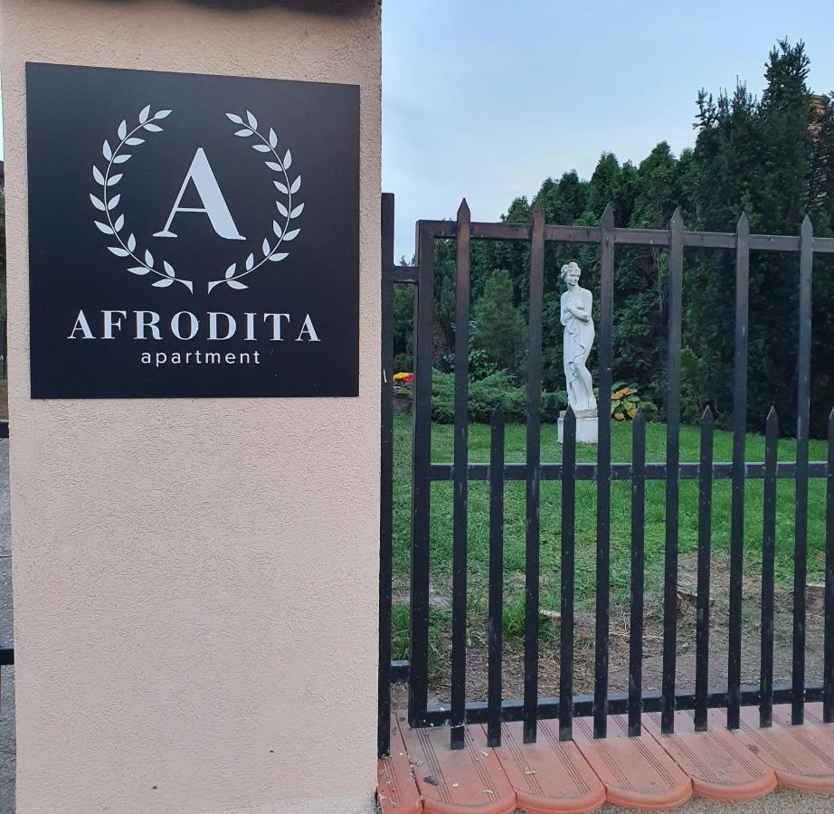 Afrodita Apartment Vrdnik Exterior photo
